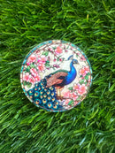 6170 Peacock Acrylic Flatback Random Choice-4