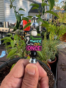 1258 Measure Twice Cut Once-3