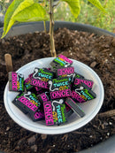 1258 Measure Twice Cut Once-4