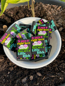 1257 It Says It Right Here-4