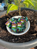 1257 It Says It Right Here-3