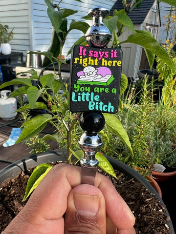 1257 It Says It Right Here - 0