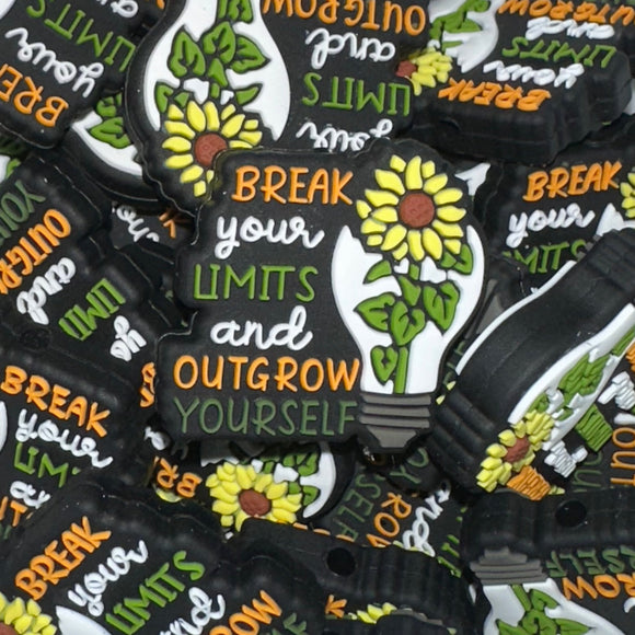 195 Break Your Limits 2ct